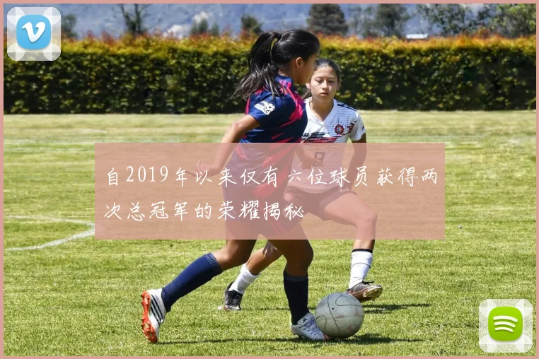 自2019年以来仅有六位球员获得两次总冠军的荣耀揭秘