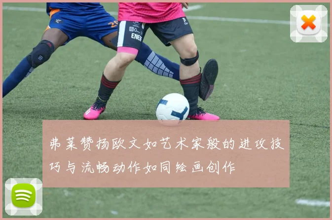弗莱赞扬欧文如艺术家般的进攻技巧与流畅动作如同绘画创作