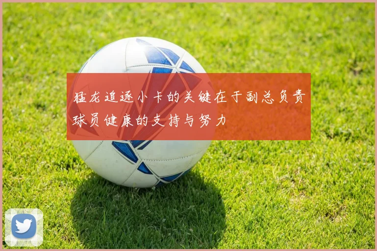 猛龙追逐小卡的关键在于副总负责球员健康的支持与努力