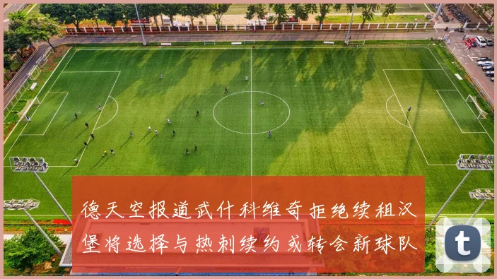 德天空报道武什科维奇拒绝续租汉堡将选择与热刺续约或转会新球队