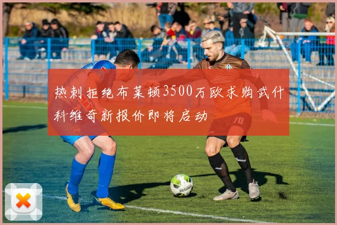热刺拒绝布莱顿3500万欧求购武什科维奇新报价即将启动